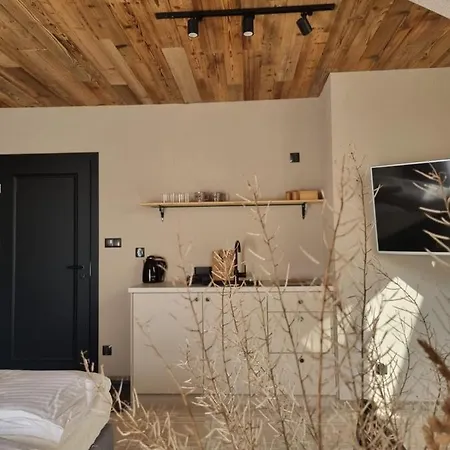 Apartski